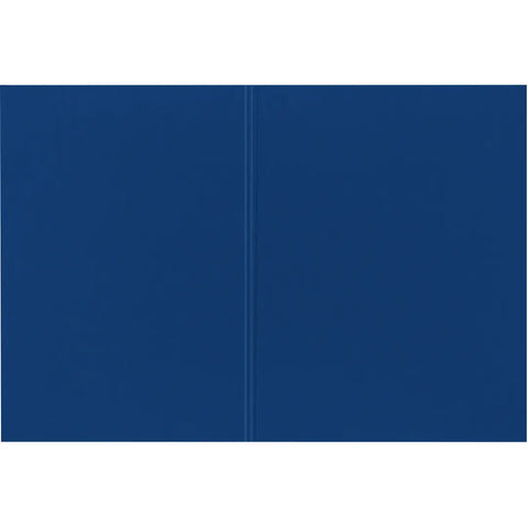 BIELLA Vertikalmappe Recycolor 25342705U 32x23,3/24,3cm, blau 100 St.