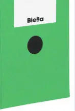 BIELLA Archivschachtel A4 26341030U grün 27.8x10x32.3cm 10 Stk.