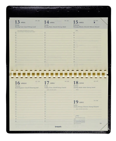 BREPOLS Agenda Ominplan Palermo 2025 0.738.3302 1W/2S braun 9x16cm