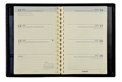 BREPOLS Agenda Delta Ersatz 2025 0.834.9900 1W/2S chamois 8.1x12.5cm