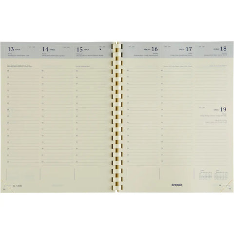 BREPOLS Agenda Timing Cube 2025 13634519920 1W/2S ass. ML 17.1x22cm