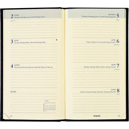 BREPOLS Agenda Interplan Sunrise 2025 73602759960 1W/2S ass. ML 9x16cm