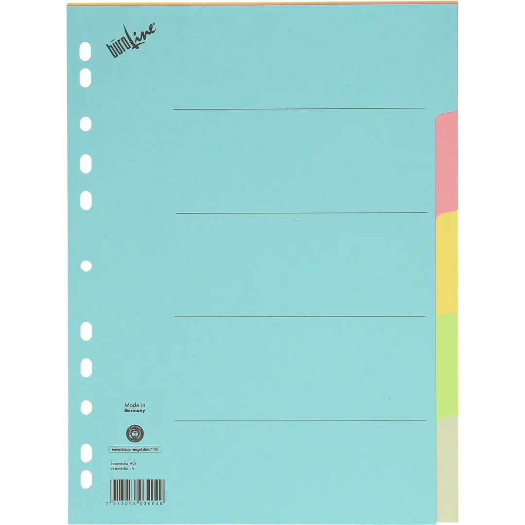 BÜROLINE Kartonregister A4 40576 bunt 5-teilig