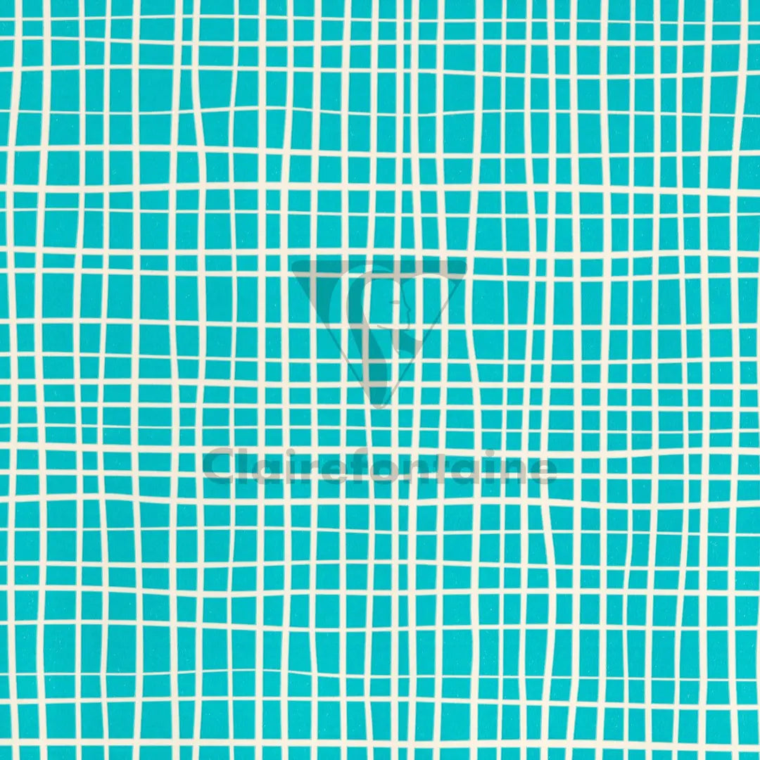 CLAIREFONTAINE Tiny Rolls Linien 223870C 80g, 5 x 0,35m