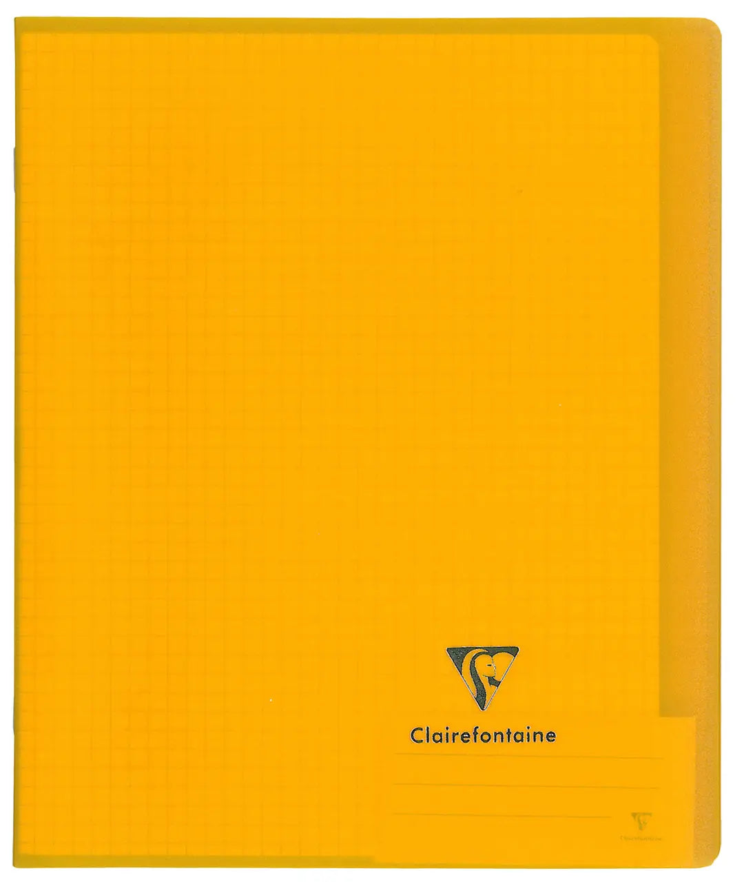 CLAIREFONTAINE Kover Book 17x22cm 951806C 4mm, kariert 48 Blatt