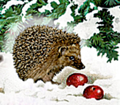 COPPENRATH Adventskalender 38x60cm 71890 Eisenbahn Tanne