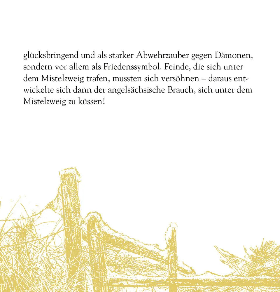COPPENRATH Zettelkalender 72562 Magie u. Mythos der Weihnacht