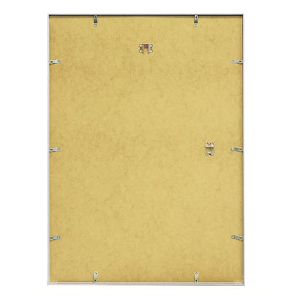 DEBEX Wechselrahmen 50x70cm 9041.03 50X7 Alu, silber