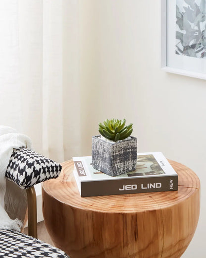 EGLO Kunstpflanze 12cm 428007 grün, im Topf