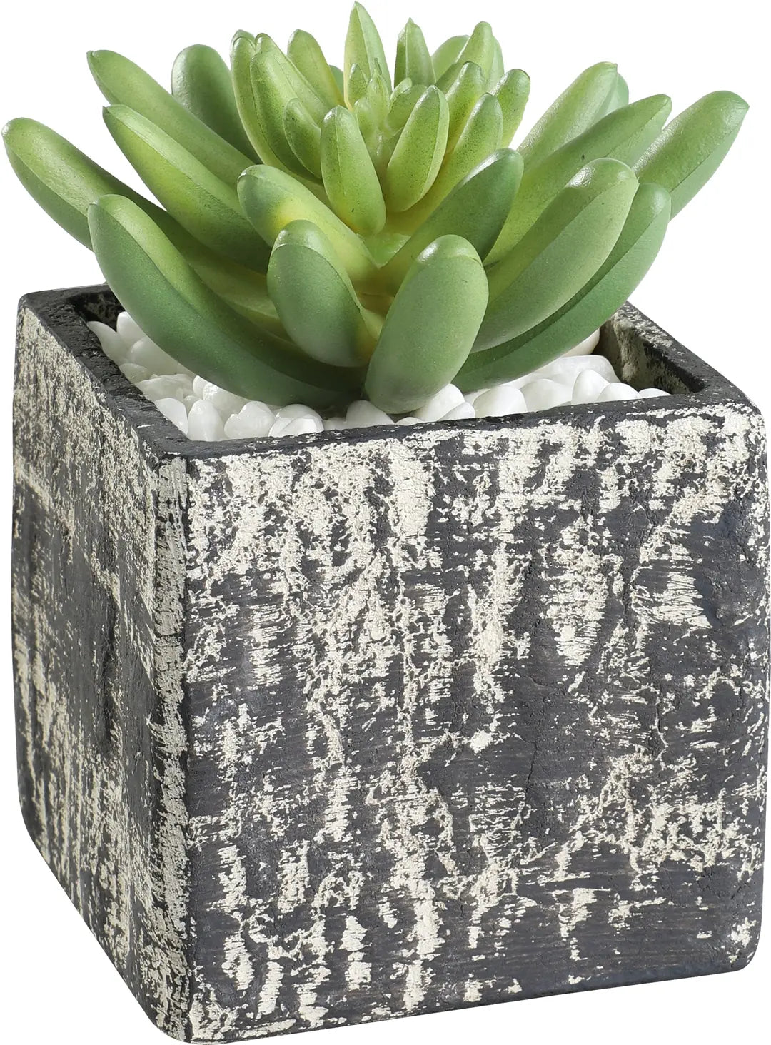 EGLO Kunstpflanze 12cm 428007 grün, im Topf