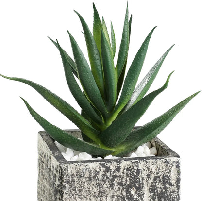 EGLO Kunstpflanze 12cm 428008 grün, im Topf