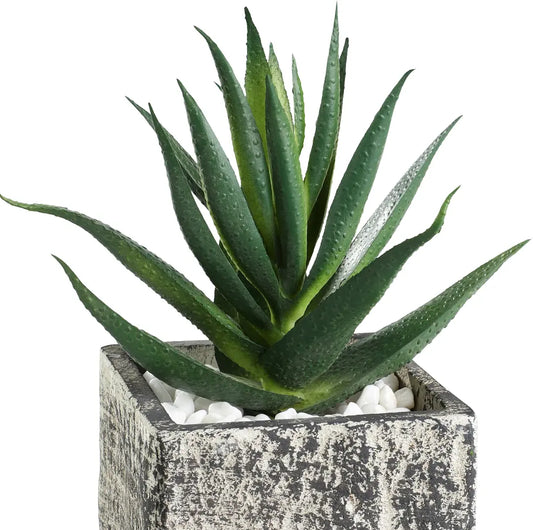 EGLO Kunstpflanze 12cm 428008 grün, im Topf