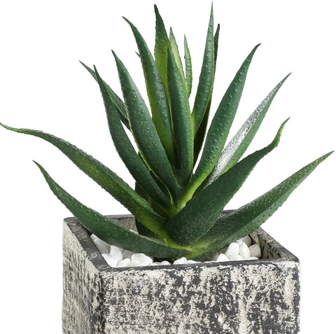 EGLO Kunstpflanze 12cm 428008 grün, im Topf