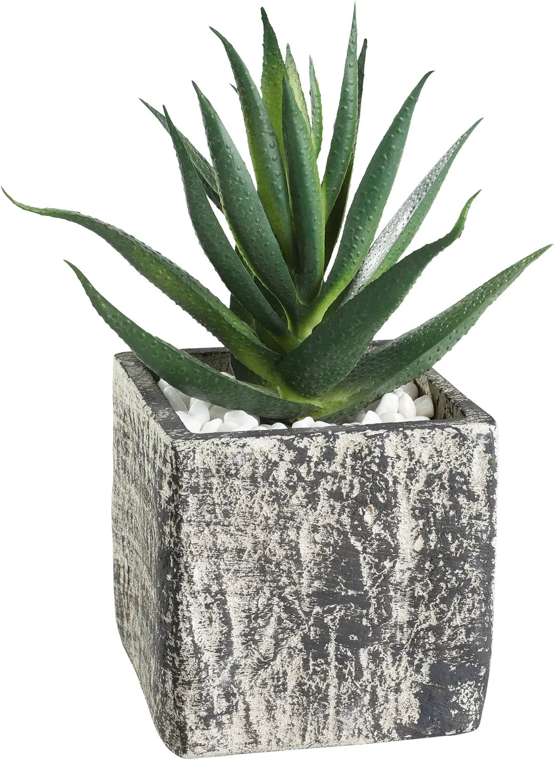 EGLO Kunstpflanze 12cm 428008 grün, im Topf
