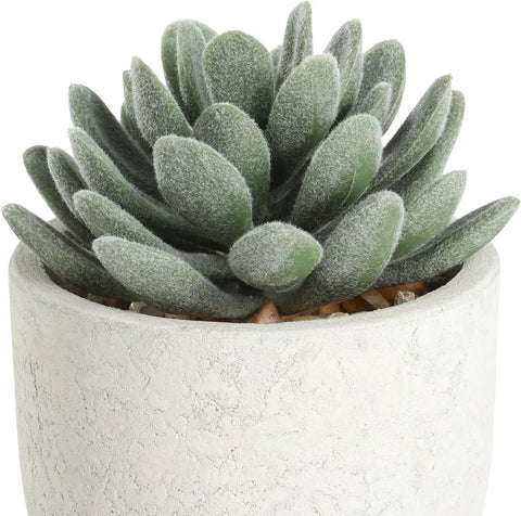 EGLO Kunstpflanze 11cm 428011 grün, im Topf