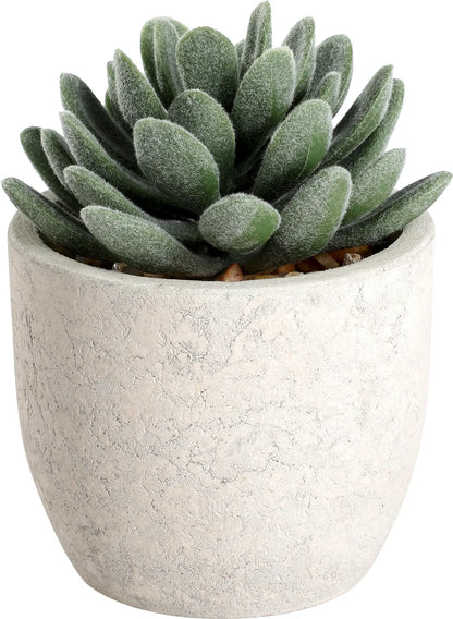 EGLO Kunstpflanze 11cm 428011 grün, im Topf