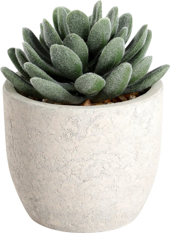 EGLO Kunstpflanze 11cm 428011 grün, im Topf