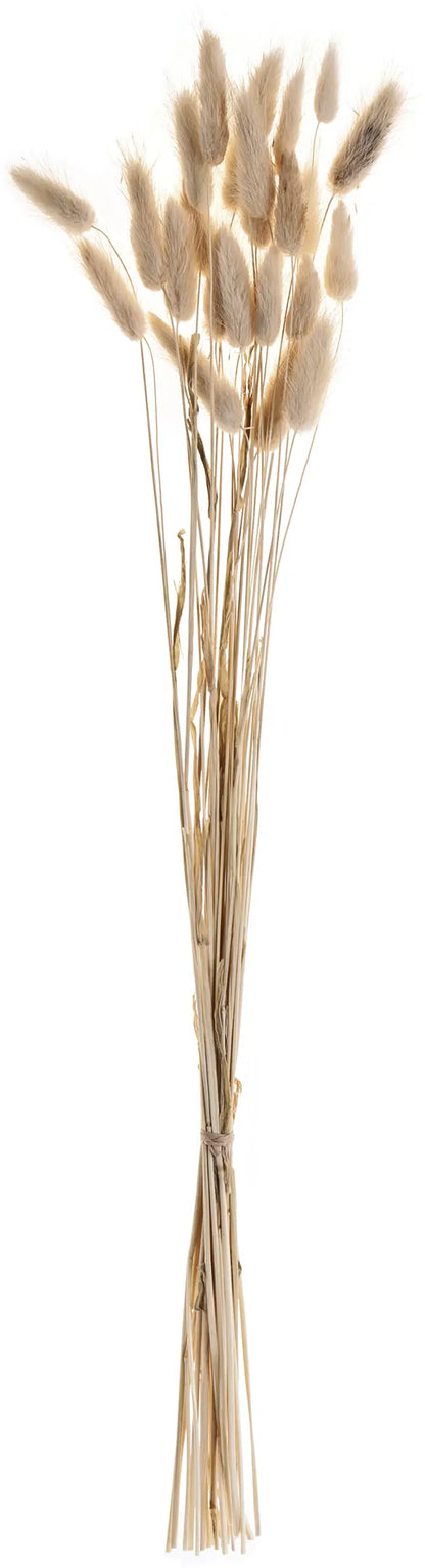 EGLO Trockenblume 60cm 428039 beige