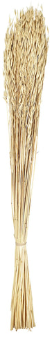 EGLO Trockenblume 90cm 428042 beige