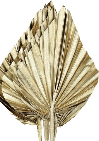 EGLO Trockenblume 45cm 428054 gold