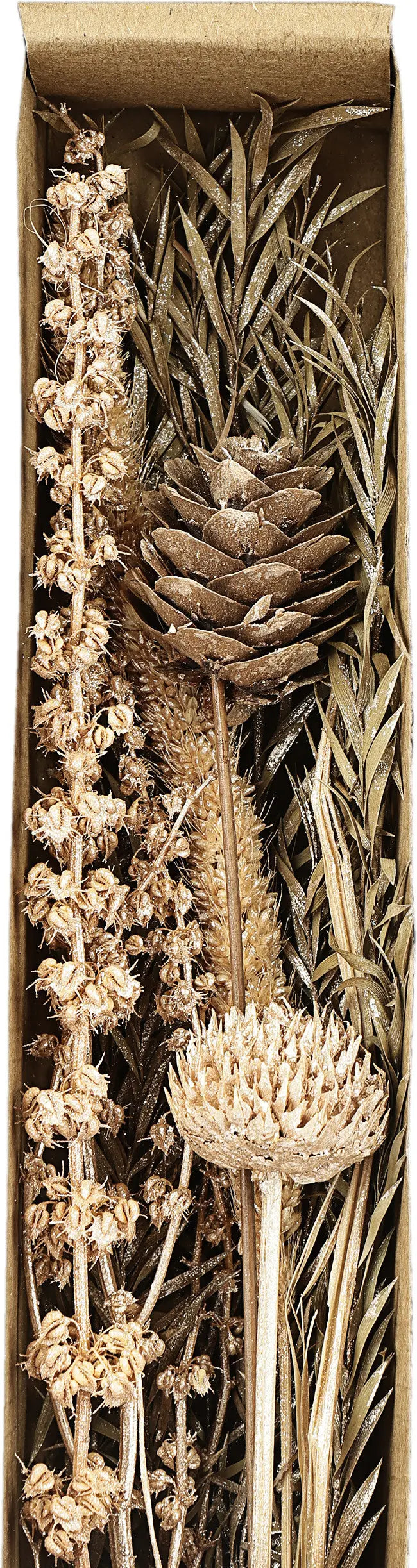 EGLO Trockenblume 37cm 428056 beige