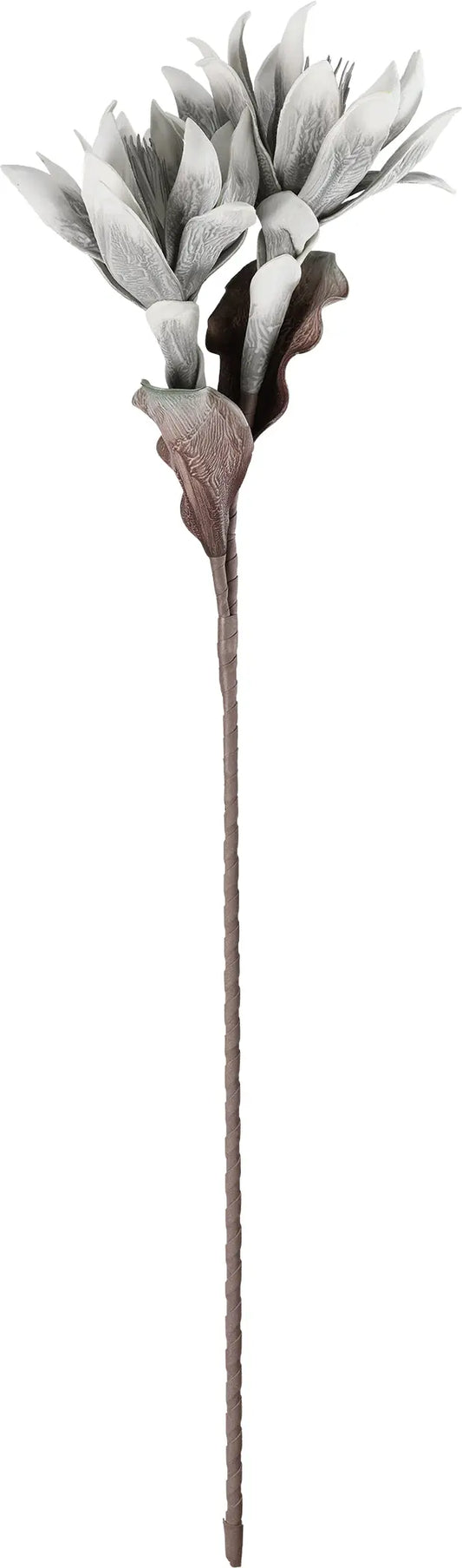 EGLO Kunstblume MOLAVE 428123 grau