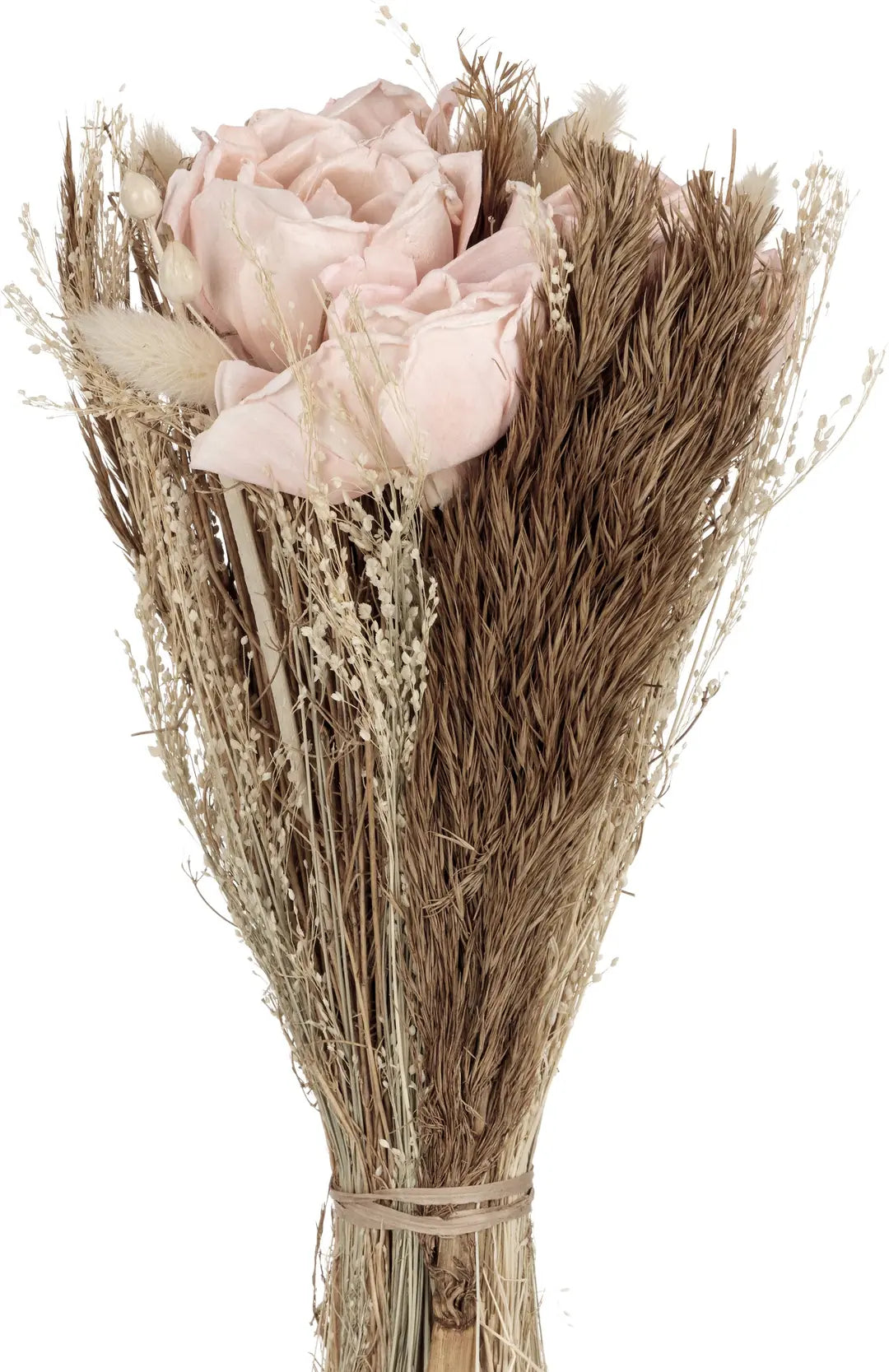 EGLO Trockenblumen CARAQUET 428153 apricot