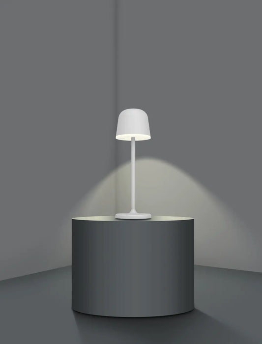 EGLO Tischleuchte Mannera 900458 grau, Akku