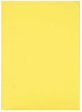 ELCO Organisationsmappe Ordo A4 29466.72 discreta, int.gelb 100 Stück