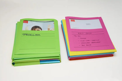 ELCO Organisationsmappe Ordo A4 29488.00 classico, assortiert 100 Stück