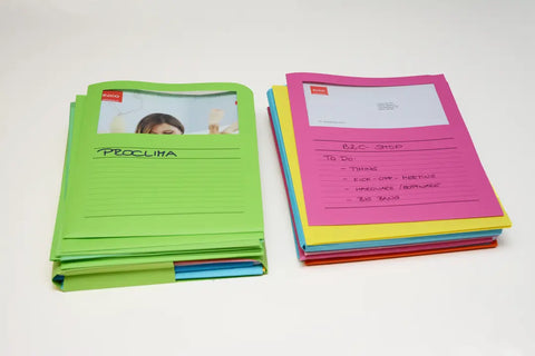 ELCO Organisationsmappe Ordo A4 29488.00 classico, assortiert 100 Stück