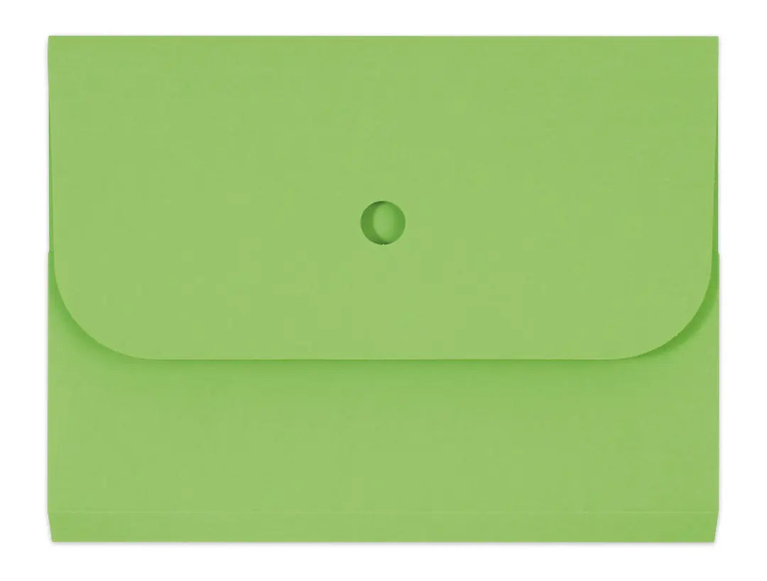 ELCO Organisationsmappe Ordo A4 29494.62 forte, grün 25 Stück