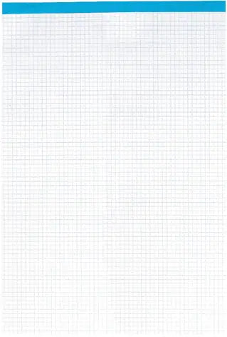 ELCO Notizblock Office A4 73411.17 kariert, 65g 100 Blatt
