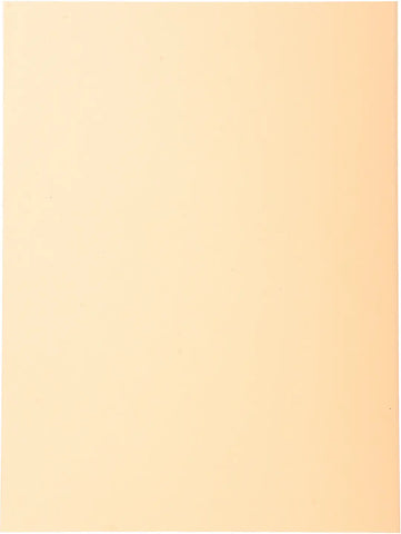 EXACOMPTA Aktendeckel 410002E sand, 100 Stück