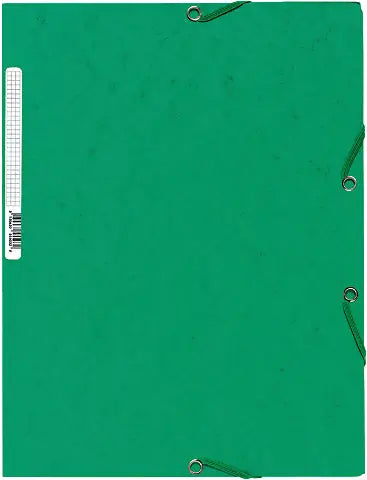 EXACOMPTA Gummibandmappe A4 55503E grün