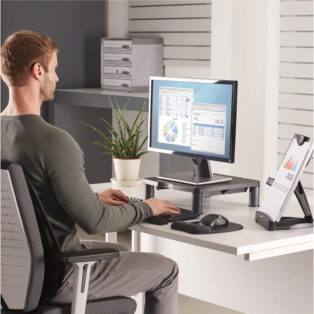 FELLOWES Monitor Ständer Standard 9169301