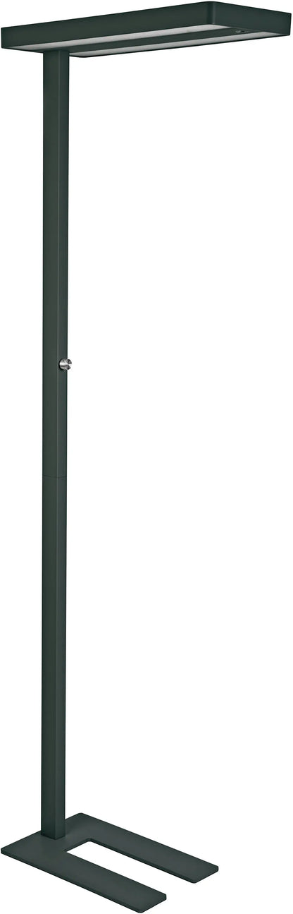 MAUL Stehleuchte LED MAULjuvis 8258690 Bewegung-/Lichtsensor, dim.