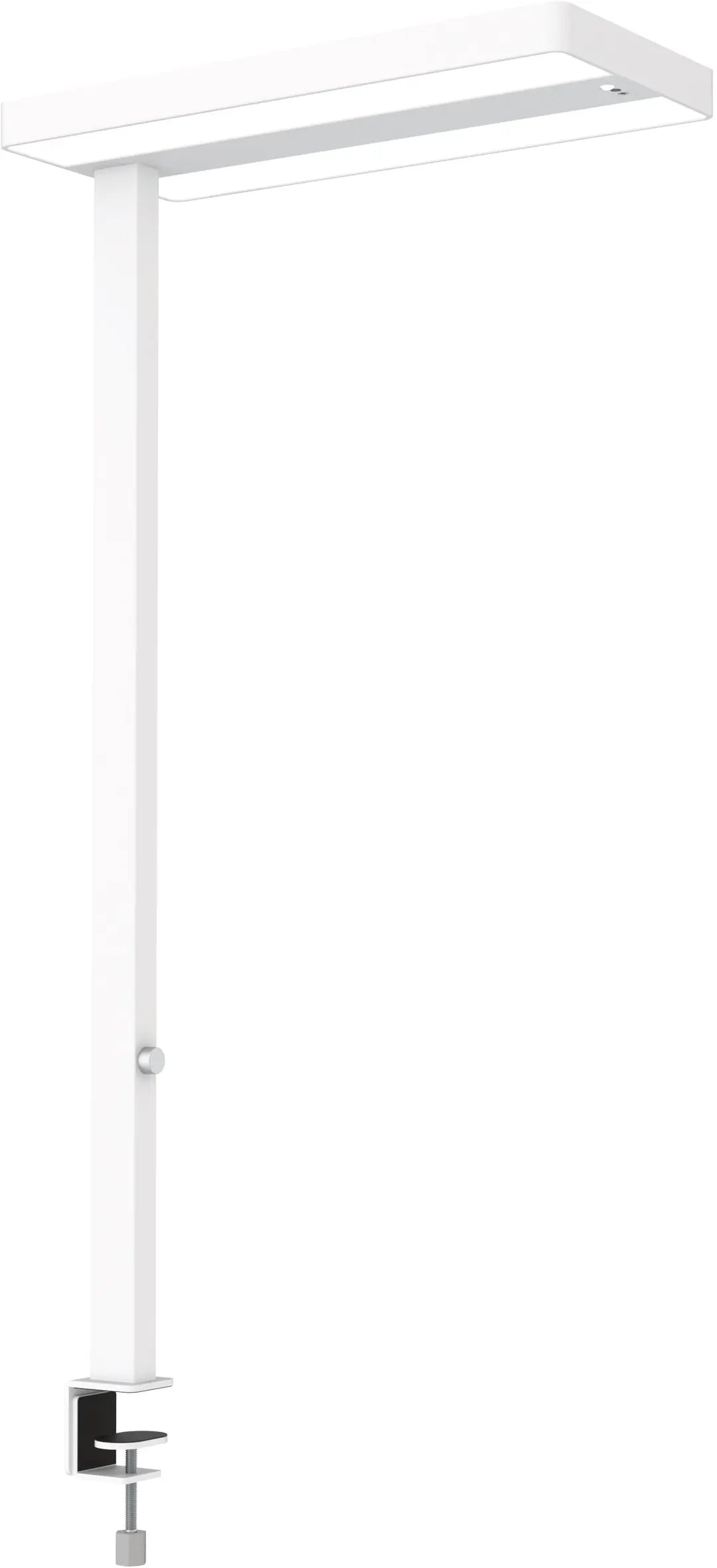 MAUL LED-Tischleuchte MAULjuvis 8258702 Bewegung-/Lichtsensor, dim.