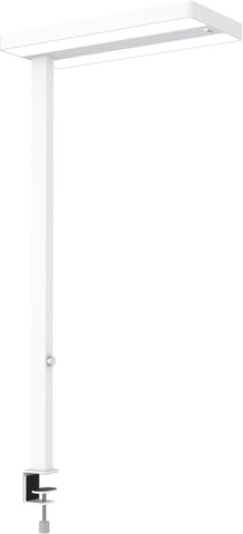 MAUL LED-Tischleuchte MAULjuvis 8258702 Bewegung-/Lichtsensor, dim.