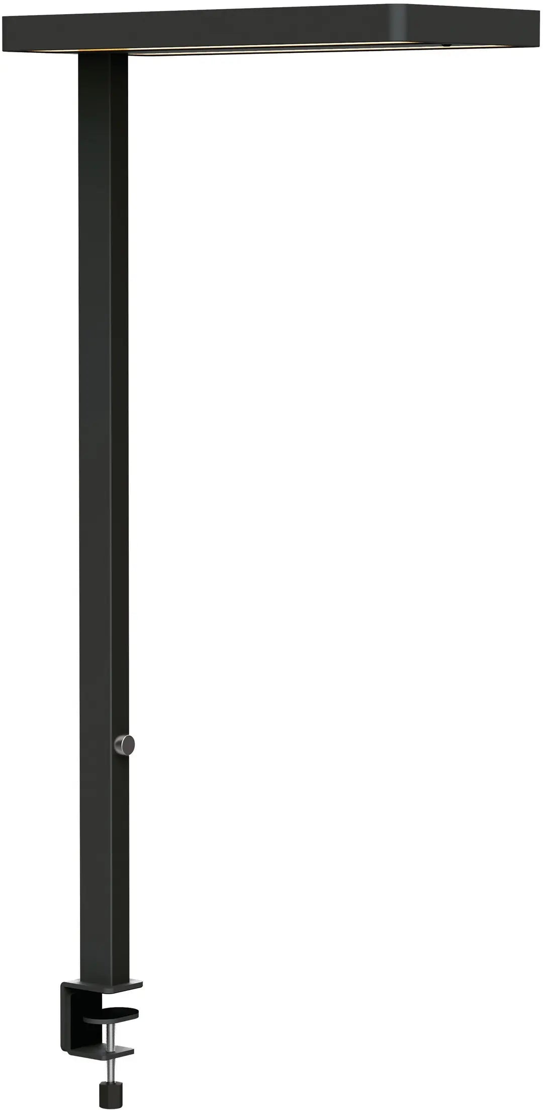 MAUL LED-Tischleuchte MAULjuvis 8258790 Bewegung-/Lichtsensor, dim.