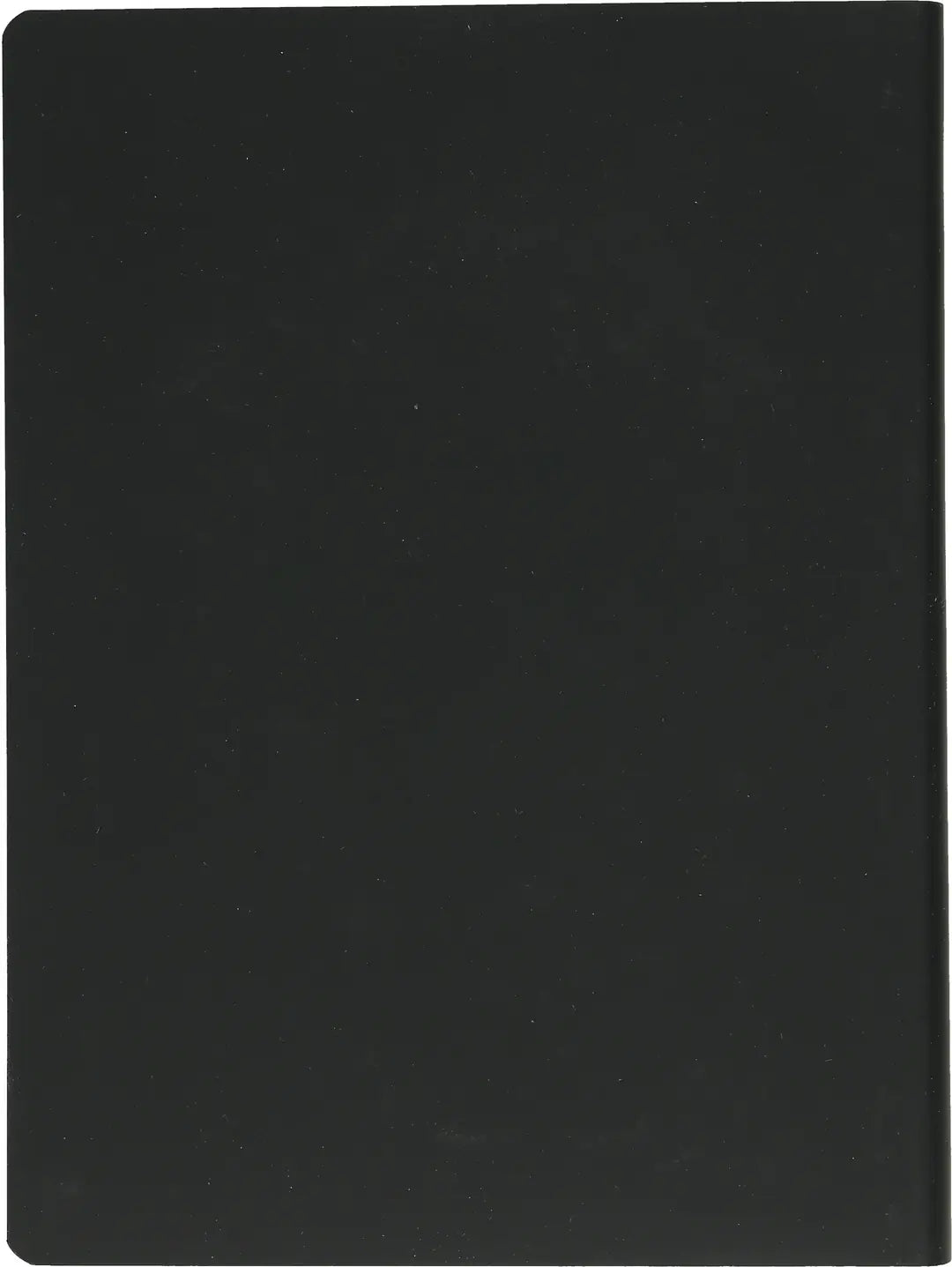 NUUNA Notizbuch Graphic L 56307 HOLY SHIT 256 Seiten