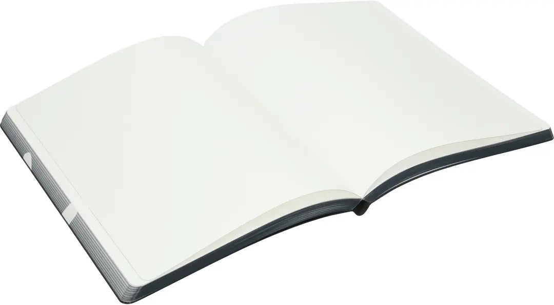 NUUNA Notizbuch Graphic L 56307 HOLY SHIT 256 Seiten