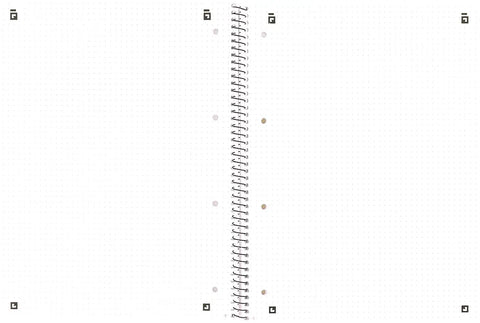OXFORD Collegeblock SCRIBZEE A4+ 400132378 dotted, grünblau 80 Blatt