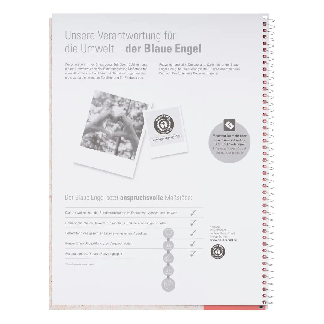 OXFORD Collegeblock Recycling A4 400159358 kariert 5mm, 90g 80 Blatt