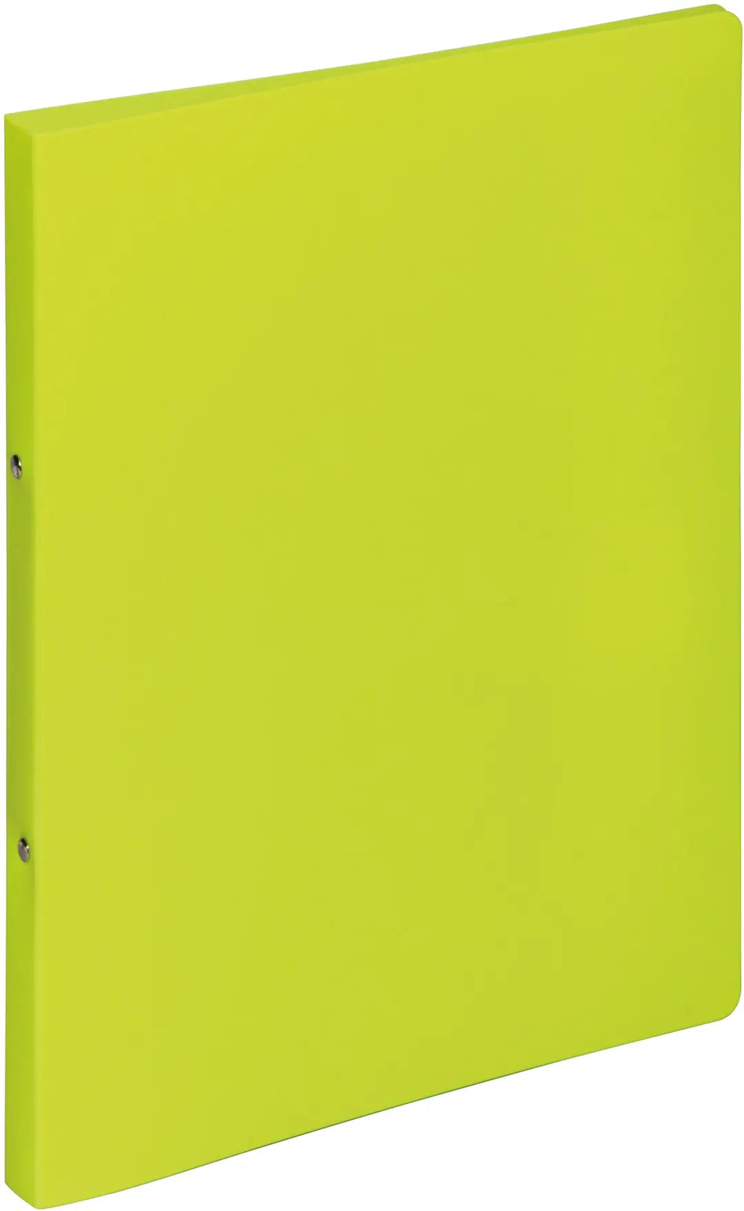 PAGNA Ringbuch 23mm A4 20901-17 lindengrün PP 2-Ring-Mech.