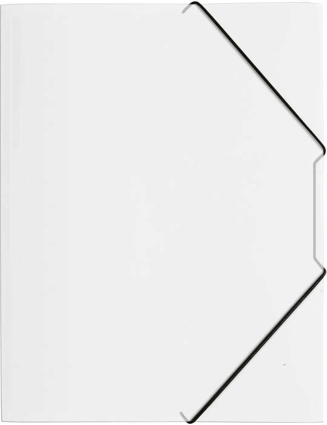 PAGNA Gummibandmappe Trend A4 21613-19 transparent 3 Klappen