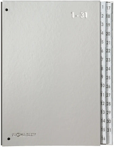 PAGNA Pultordner Color A4 24329-14 silber 1-31
