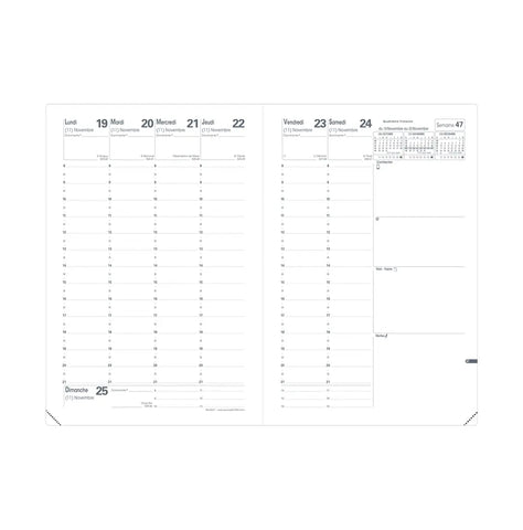 QUO-VADIS Ersatzinhalt+ Ministre 2025 015017Q 1W/2S Impala/Club 16x24cm