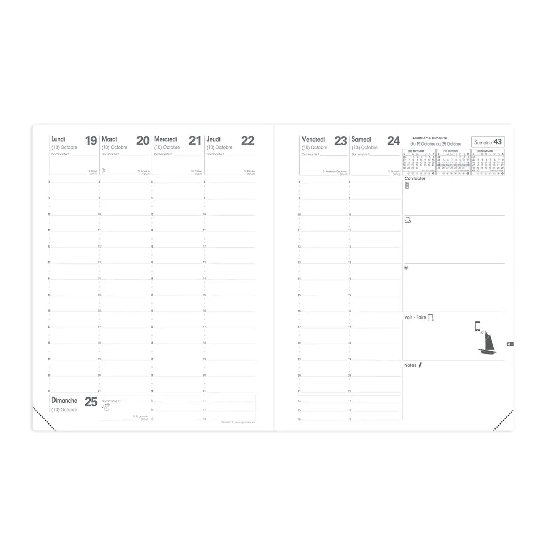 QUO-VADIS Ersatzinhalt Presint 2025 016007Q 1W/2S Impala/Club 21x27cm