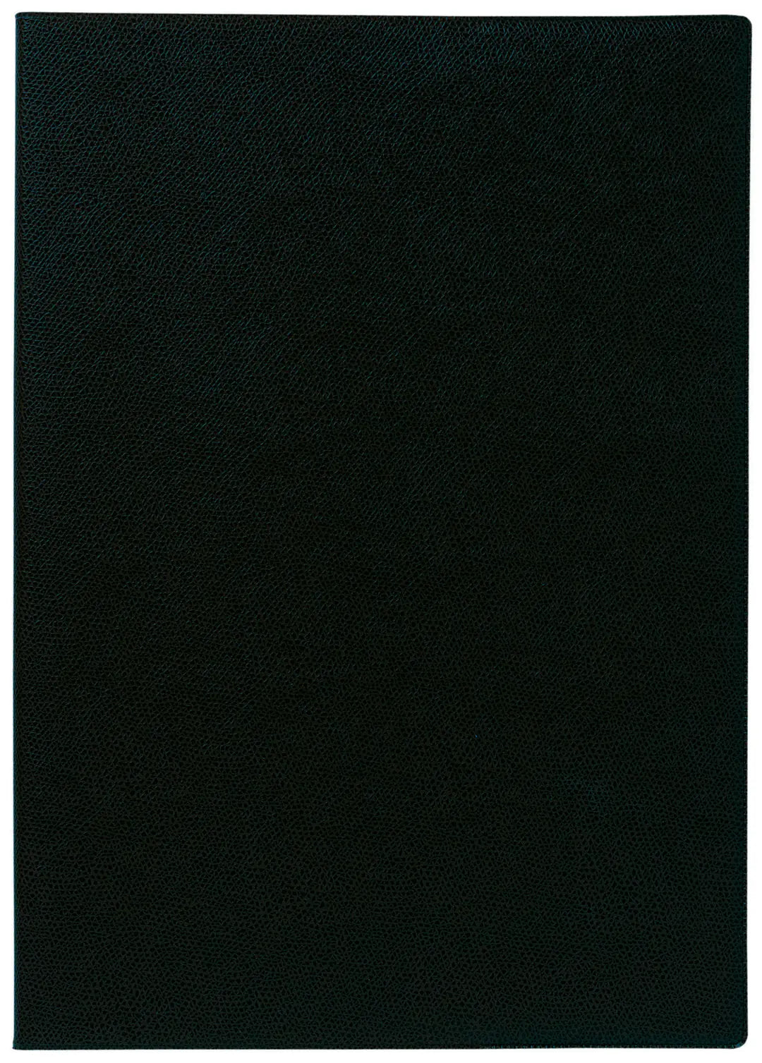 QUO-VADIS Agenda Impala Consul 2025 024075Q 1W/2S schwarz FR 21x29.7cm